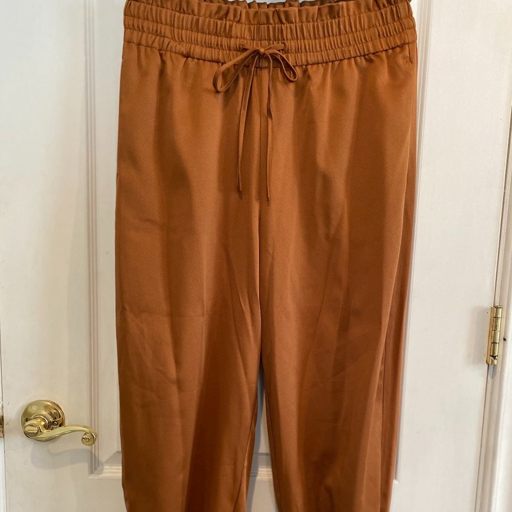 Rust Satin Pants